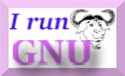  [I run GNU webpage icon] 