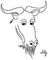  [obrázek filosofujícího pakoně (GNU)] 